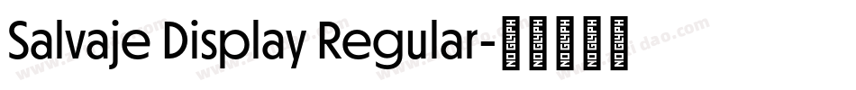 Salvaje Display Regular字体转换